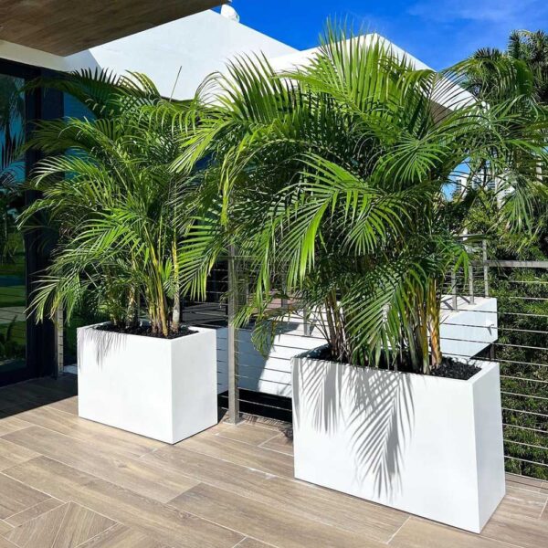 Modern Outdoor Planters